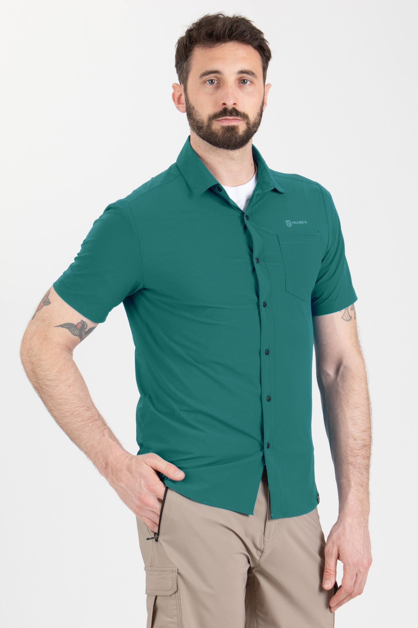 #colore_dark-green